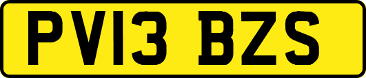 PV13BZS