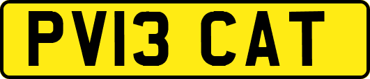 PV13CAT