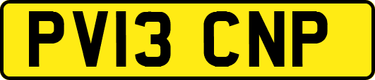 PV13CNP
