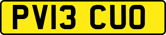 PV13CUO