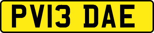 PV13DAE