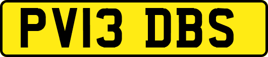 PV13DBS