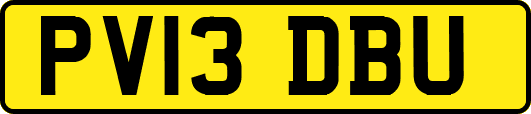 PV13DBU