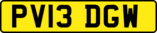 PV13DGW
