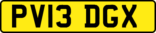 PV13DGX