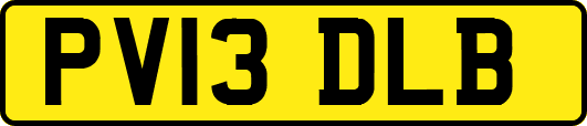 PV13DLB