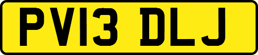 PV13DLJ