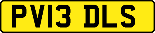 PV13DLS