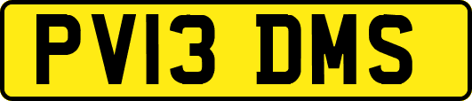 PV13DMS