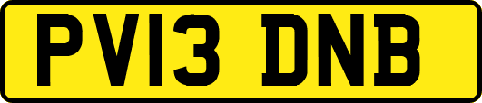 PV13DNB