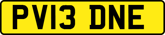 PV13DNE