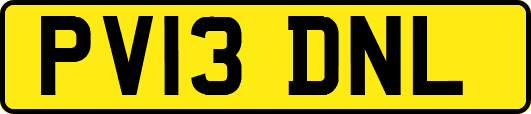 PV13DNL