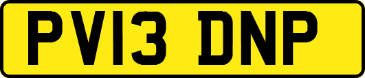 PV13DNP