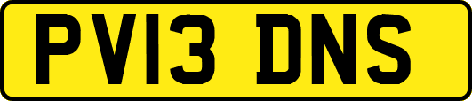 PV13DNS