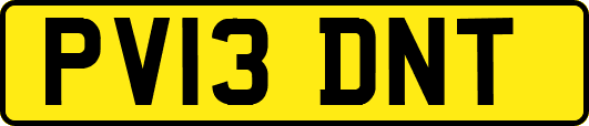 PV13DNT