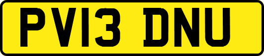 PV13DNU