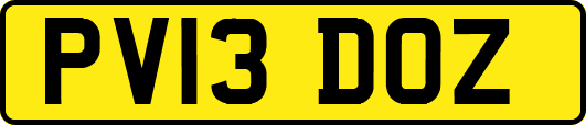 PV13DOZ