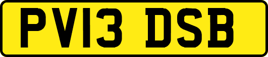 PV13DSB