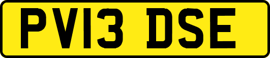 PV13DSE