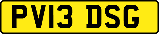 PV13DSG