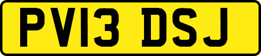 PV13DSJ