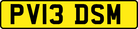 PV13DSM