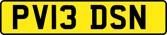 PV13DSN