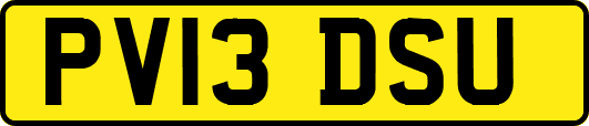 PV13DSU