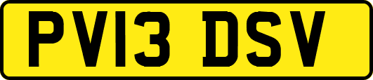 PV13DSV