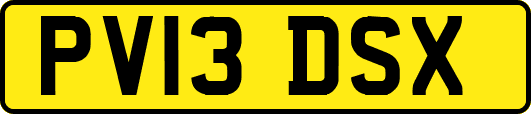 PV13DSX