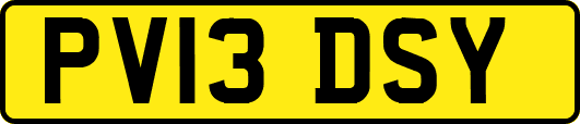 PV13DSY