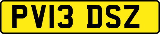 PV13DSZ