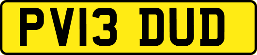 PV13DUD