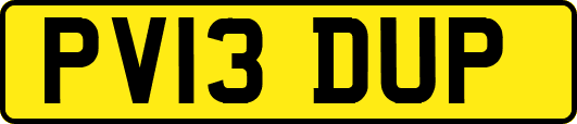 PV13DUP