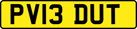 PV13DUT