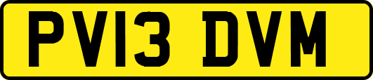 PV13DVM