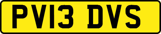 PV13DVS
