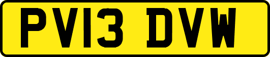 PV13DVW