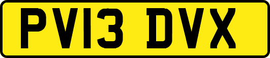 PV13DVX