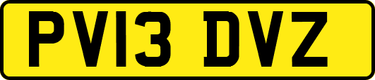 PV13DVZ