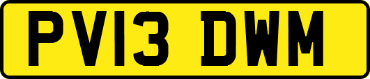 PV13DWM