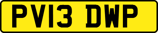 PV13DWP
