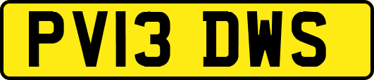 PV13DWS