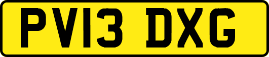 PV13DXG