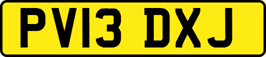 PV13DXJ