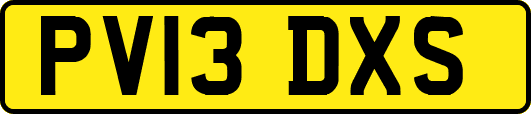 PV13DXS