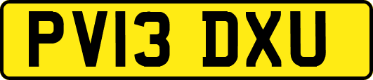 PV13DXU