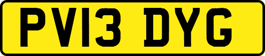 PV13DYG