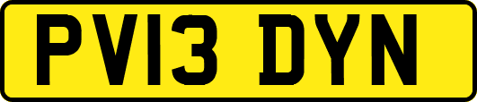 PV13DYN