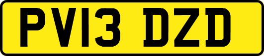 PV13DZD